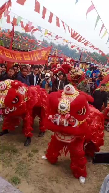 北部湾合浦公馆陈胡公祠春祭盛况