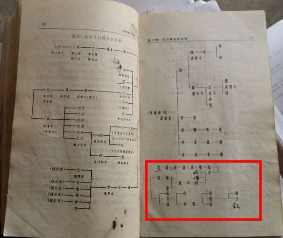 山东平邑白马陈