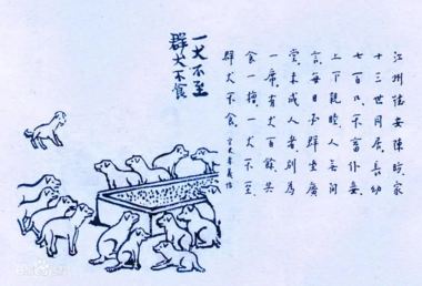 百犬同槽:义门陈文化的独特象征