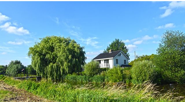 伯宣公谱序译文欣赏