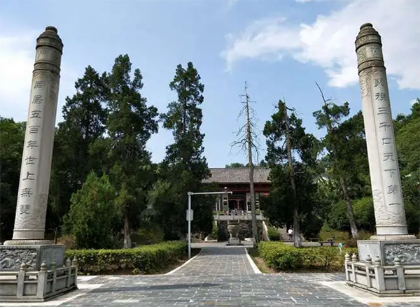 义门陈—世上无双族 天下第一家