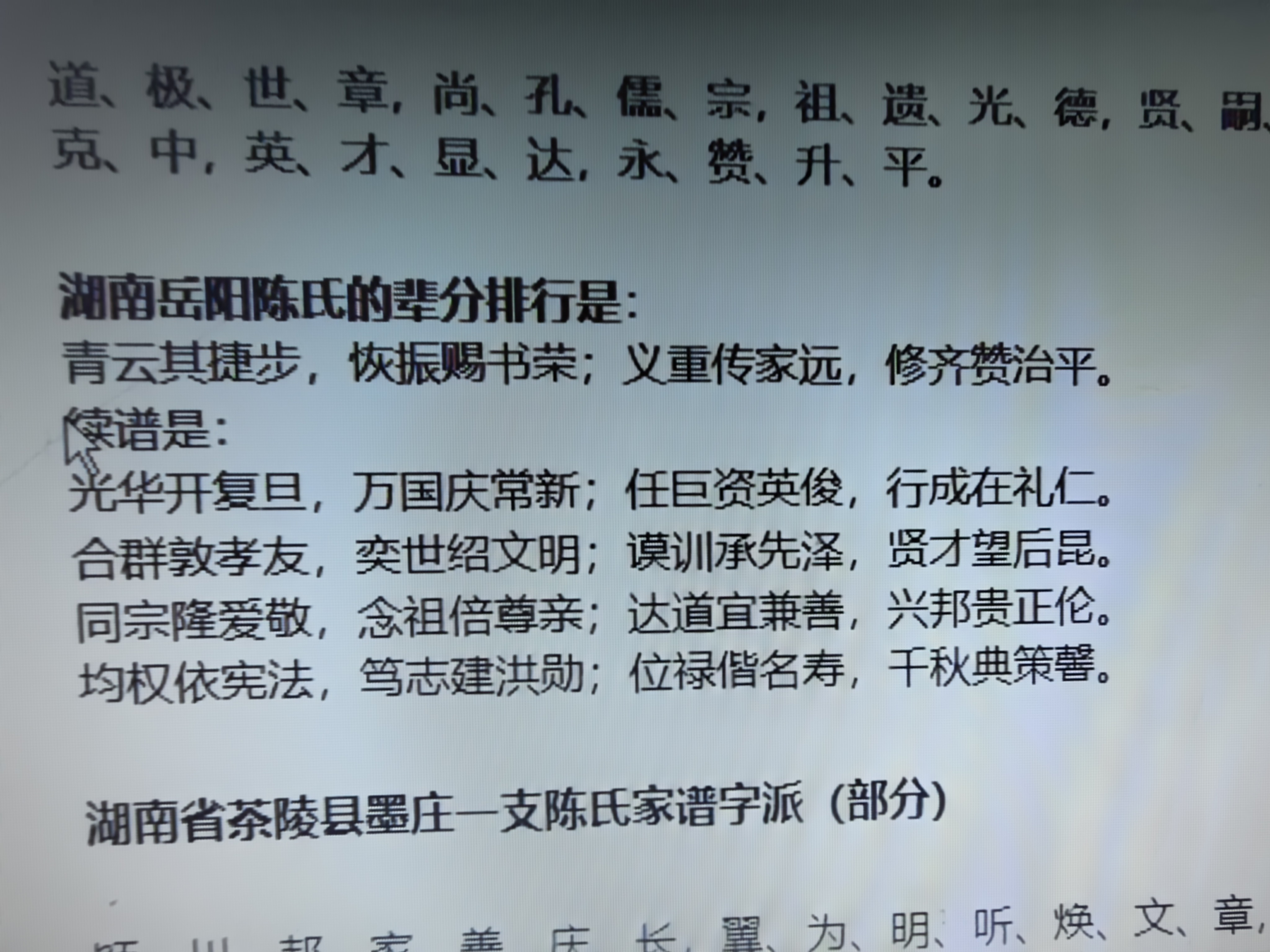 岳阳的宗亲寻根人