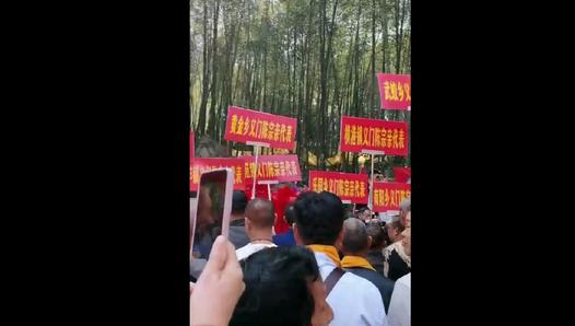 九江陈氏研究会领导敬献花篮缅怀江州义门陈始祖伯宣公