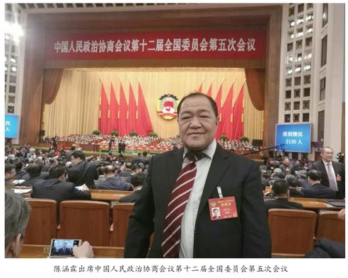 陈瑞涵淡澎湃流华彩 霖甘雨沛润桑梓