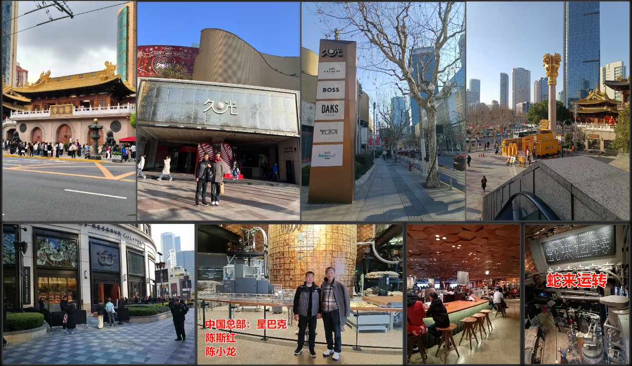 陈小龙：从上海启航，布局义门陈文化养老事业