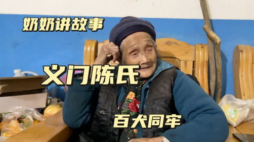 义门陈氏的百犬同牢:展现家族凝聚力和和谐友爱的典范