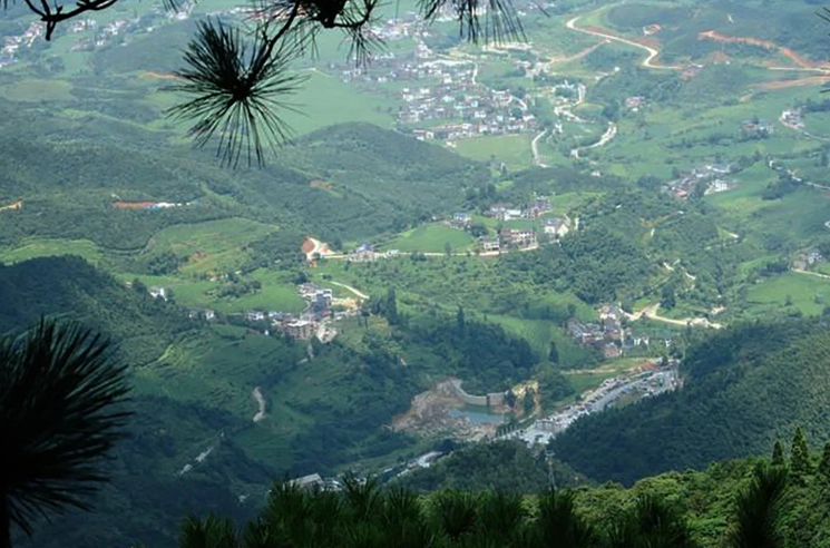 “中国首善”陈光标来德安考察义门陈文化