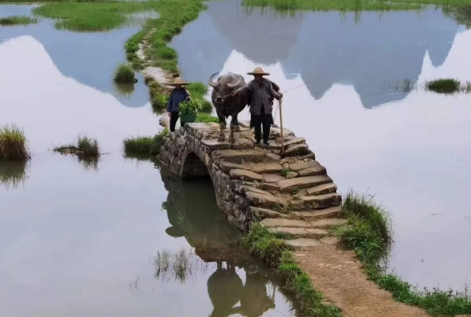 不同时期的陈友谅传记欣赏