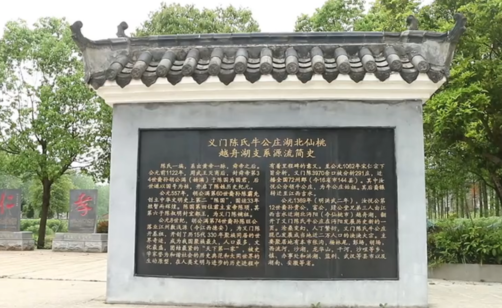 义门陈牛公庄第八届清明祭祖大会