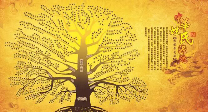 陈氏宗族世系图