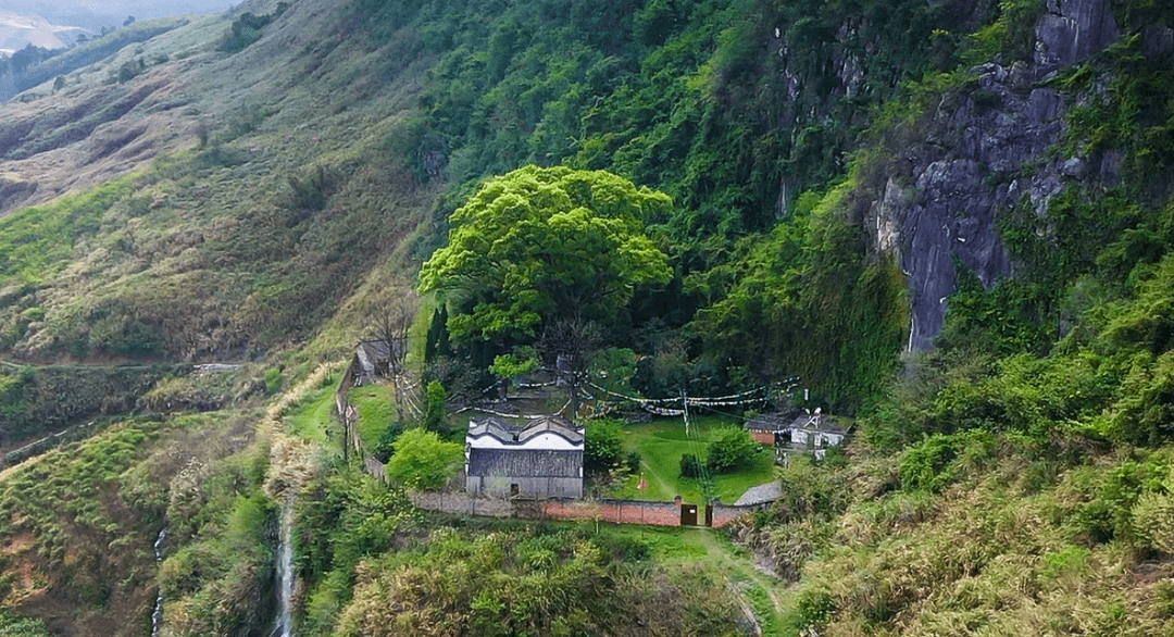 义门陈东佳书院的沿革