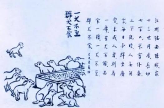 补充“百犬同槽”文关于各庄起源